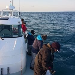 フィッシングボートACE(エース) 釣果