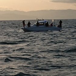 フィッシングボートACE(エース) 釣果