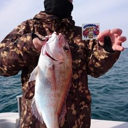 フィッシングボートACE(エース) 釣果