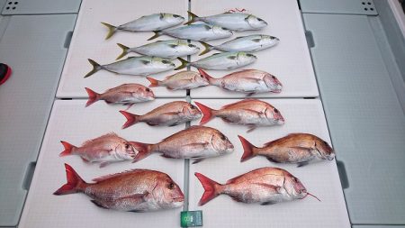 フィッシングボートACE(エース) 釣果