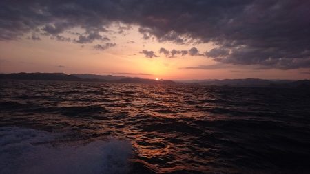 フィッシングボートACE(エース) 釣果