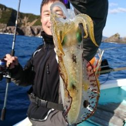 シードリーム 釣果