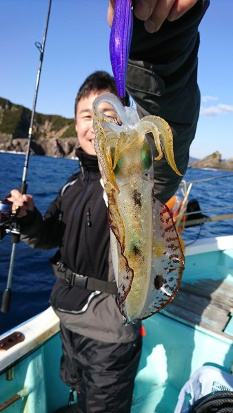 シードリーム 釣果