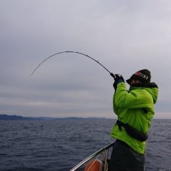 シードリーム 釣果