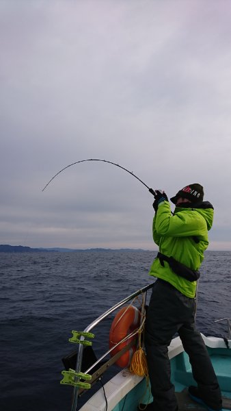 シードリーム 釣果