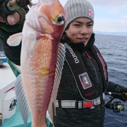 シードリーム 釣果