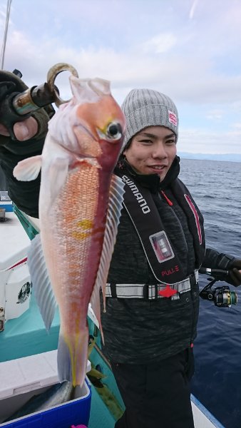 シードリーム 釣果