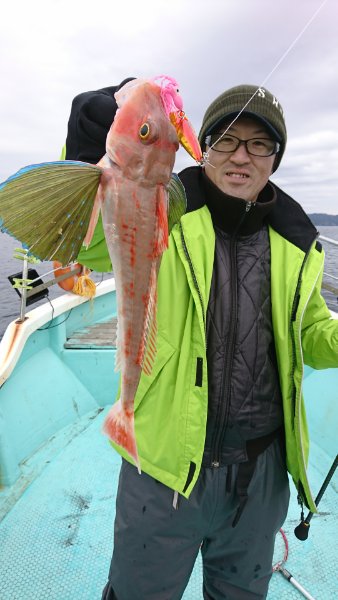 シードリーム 釣果