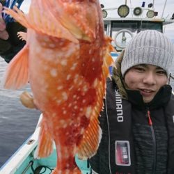 シードリーム 釣果