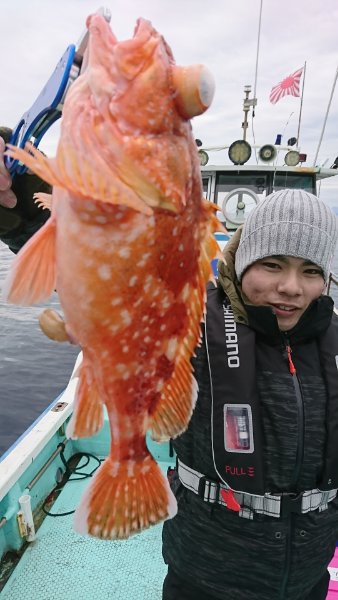 シードリーム 釣果