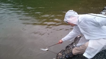 フィッシングエリア帝釈 釣果