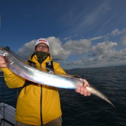アジアマリンサービス 釣果
