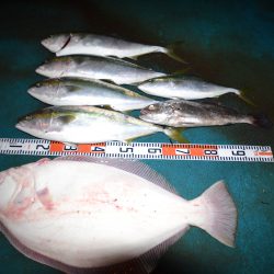 アジアマリンサービス 釣果