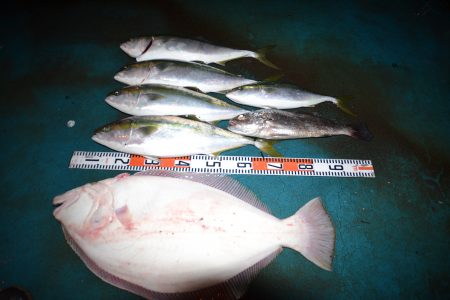 アジアマリンサービス 釣果