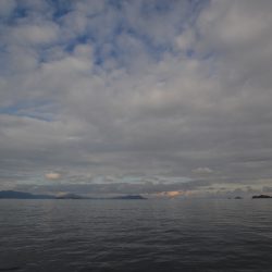 アジアマリンサービス 釣果