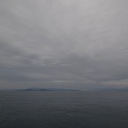 アジアマリンサービス 釣果