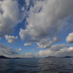 アジアマリンサービス 釣果