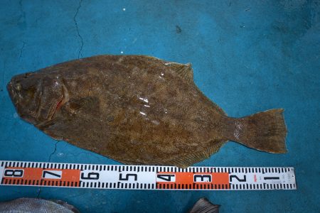 アジアマリンサービス 釣果