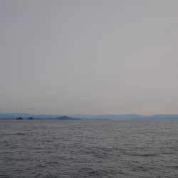 アジアマリンサービス 釣果