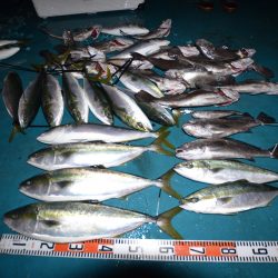 アジアマリンサービス 釣果