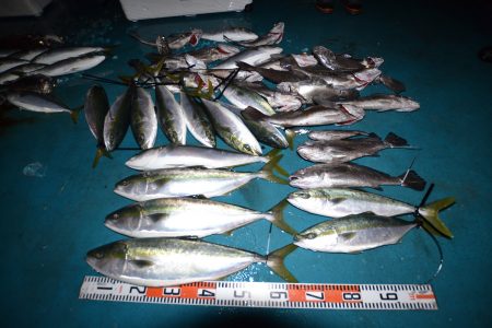 アジアマリンサービス 釣果