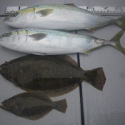 磯部釣船 直栄丸 釣果