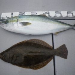 磯部釣船 直栄丸 釣果