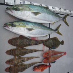 磯部釣船 直栄丸 釣果