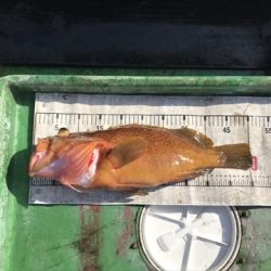 海宝丸 島根 釣果