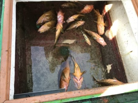 海宝丸 島根 釣果