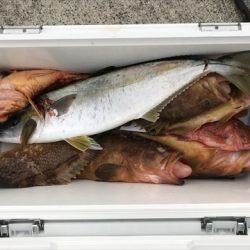 海宝丸 島根 釣果