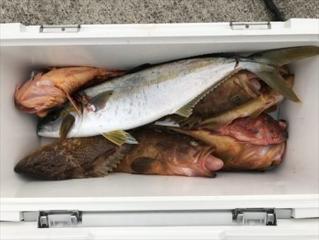 海宝丸 島根 釣果