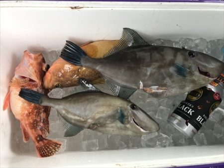 海宝丸 島根 釣果