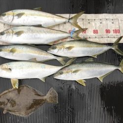 海宝丸 島根 釣果