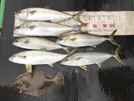 海宝丸　島根 釣果