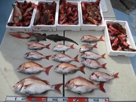 海人丸（うみんちゅまる） 釣果