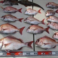 海人丸（うみんちゅまる） 釣果