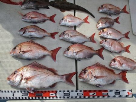 海人丸（うみんちゅまる） 釣果