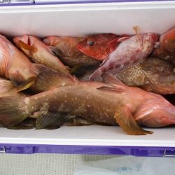 海人丸（うみんちゅまる） 釣果