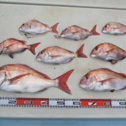 海人丸（うみんちゅまる） 釣果