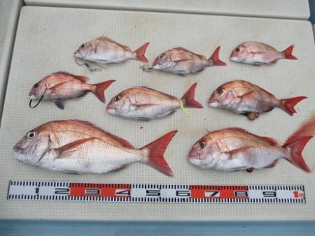 海人丸（うみんちゅまる） 釣果