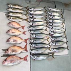 さぶろう丸 釣果