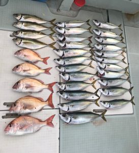 さぶろう丸 釣果