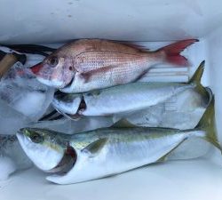 さぶろう丸 釣果