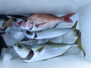 さぶろう丸 釣果