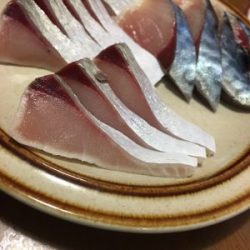 さぶろう丸 釣果