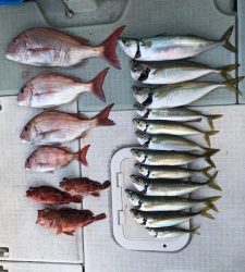 さぶろう丸 釣果