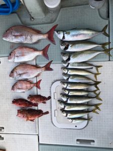 さぶろう丸 釣果