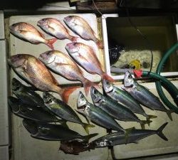 さぶろう丸 釣果