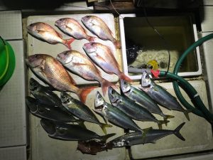 さぶろう丸 釣果